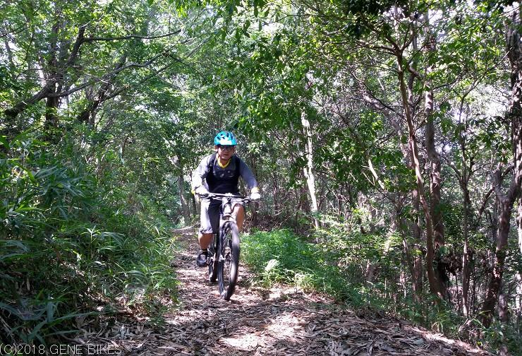 ホットな夏の幕開け　7月14日MTBライド 神戸西