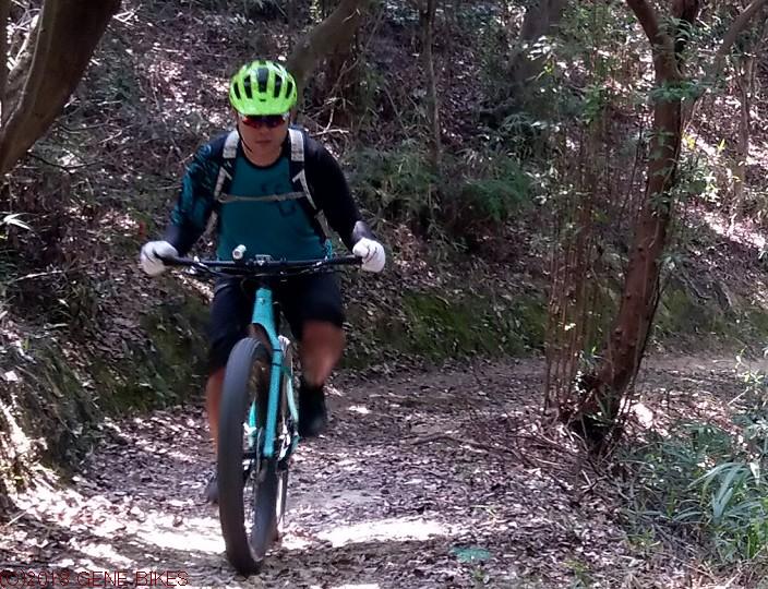 山の中も暑い　8月11日MTBライド 神戸西