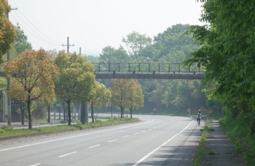 もう初夏の兆し　4/22(日)のショップライド