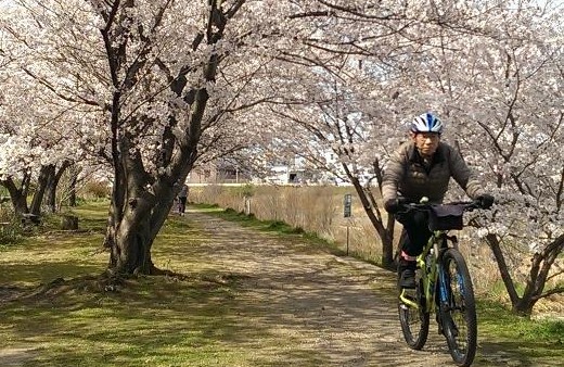 一気に咲いてきた！　3月31日(土)MTBライド