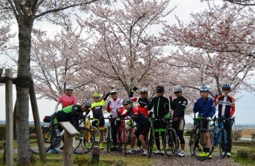 今年こそ、見るぞ！桜！　グルメライド2017年4月号