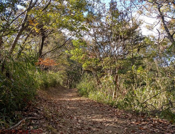 木枯らし、吹く　11月24日MTBライド 神戸西